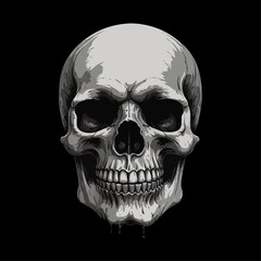 Fototapeta premium Skull skeleton vector design in different styles with solid background
