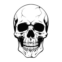 Obraz premium Skull skeleton vector design in different styles with solid background