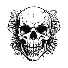 Skull skeleton vector design in different styles with solid background