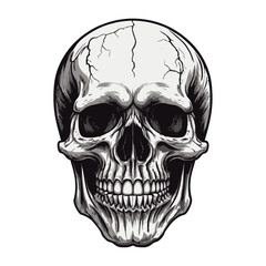 Fototapeta premium Skull skeleton vector design in different styles with solid background