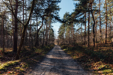 Brunssummerheide Niederlande