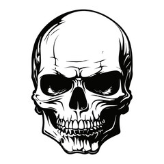 Fototapeta premium Skull skeleton vector design in different styles with solid background