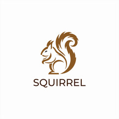 Squirrel  icon logo design vector