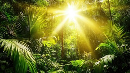 Sunlight Stream Through Lush Green Jungle Leaves in Tropical Forest