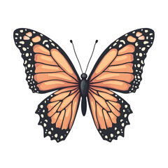 Fototapeta premium Colorful butterfly illustration with orange and black wings on white background