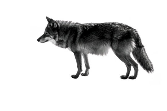 Embrace the Joy of Summer. Enjoying outdoor activities concept