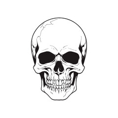 Skull skeleton vector design in different styles with solid background