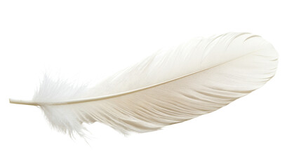 White feather, transparent background