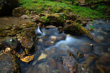 river in the forest