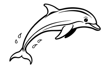 dolphin isolated on white background