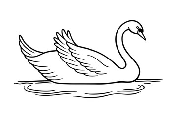 swan on the water
