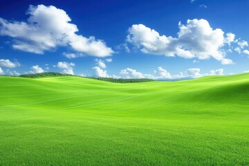Lush Green Field Under a Bright Blue Sky