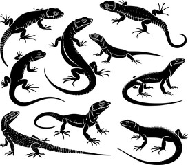 set of black and white lizard