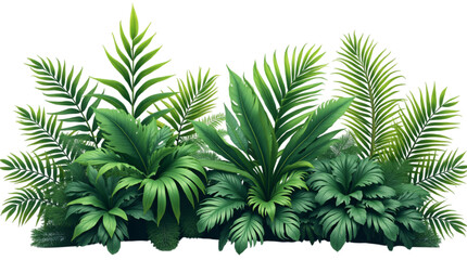 Vibrant Green Tropical Plant Bush, Monstera Palm, Rubber Plant, Pine, and Fern Cut Out PNG.