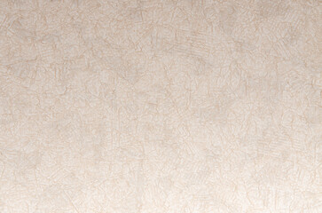 Obraz premium vinyl wallcovering texture wallpaper background