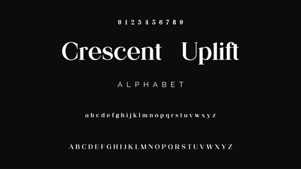 Luxury serif font in modern style. Elegant wedding alphabet letters font and number. Typography Luxury classic lettering serif fonts decorative vintage retro logo