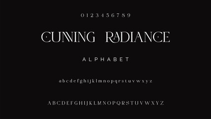 Luxury serif font in modern style. Elegant wedding alphabet letters font and number. Typography Luxury classic lettering serif fonts decorative vintage retro logo