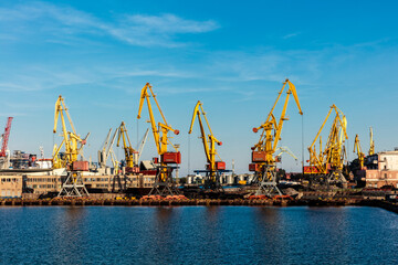 Obraz premium A large group of cranes are in the water near a city