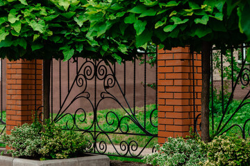 urban fence exterior yard space with plant bush green foliage frame work