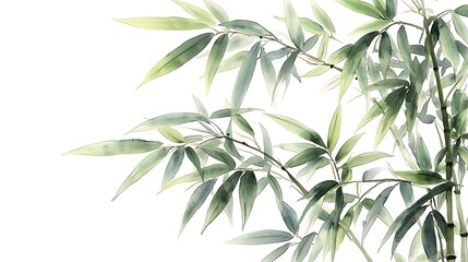 Fototapeta premium Serene Watercolor Bamboo Leaves Green Foliage Asian Art