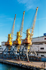 Three cranes are standing on a dock, with one crane being the tallest