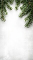 Obraz premium A serene background featuring evergreen branches, perfect for holiday themes and seasonal decorations.