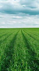 Obraz premium A lush green field stretches under a cloudy sky, featuring distinct rows that create a pattern in the vibrant grass.