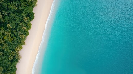 Aerial view of a serene coastline with white sandy beach, lush greenery, and clear turquoise waters.