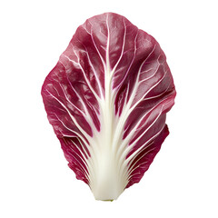 Obraz premium Extreme top view of an extremely perfect looking single radicchio leaf cut in half isolated on a white transparent background