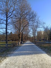 First snow. Alley in the city, the first snow fell