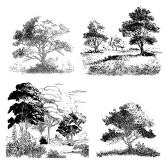 Trees mediterranean hills grass toile de jouy linocut