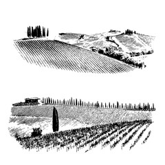 Vineyard tuscany hills cypress tree landscape linocut