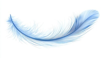 Obraz premium Delicate blue feather with soft, wispy details on a white background.