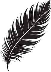 Obraz premium Detailed Black Feather Silhouette Vector Illustration