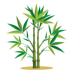Obraz premium Print bamboo plant vector isolated on white background