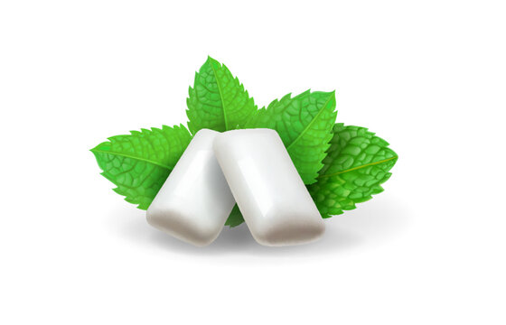 White chewing gum and green mint for fresh breath. Bubblegum pads with spearmint leaves. Chewing menthol dragee isolated Dental health illustration
