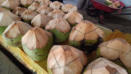landscape photo of young coconut ready to be served. photo of fresh young coconut ready to be served