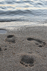 Footprints on sandy beach near calm water, evoking serene coastal vibe