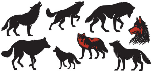 Silhouette set of wolf howling, walking, sitting on white background