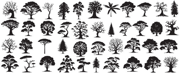 Silhouette of set different trees. Collection of coniferous evergreen forest trees, bare trees. Vector illustration © shahzad