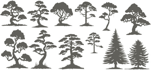 set of trees silhouettes, bare tree, big tree, forest trees, palm trees, vector