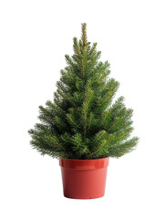 Artificial tree in a red pot. Transparent background png.