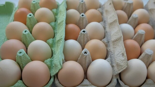eggs in carton strit 2022 2023 2024 
