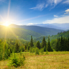 Obraz premium Wonderful sunset in the Carpathians.