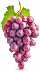 Fototapeta premium Red Grape Bunch Photo