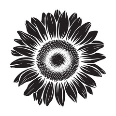 Black White Sunflower Outline Artwork with Leaves Designed for Kids’ Fun