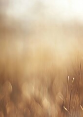 Soft Golden Light Filters Through a Peaceful Meadow Filled With Tall Grass During a Tranquil Morning in Late Summer