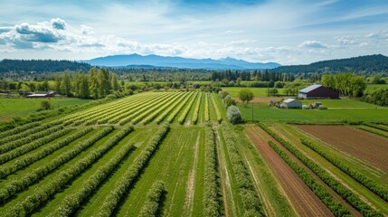 Aerial View of a Picturesque Farmland in a Valley