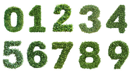 Green foliage forms numerals zero through nine.