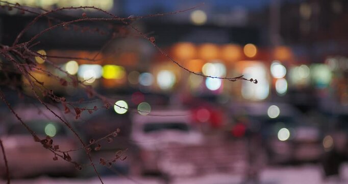 Seasons, winter. Branches of a leafless tree against the background of the multicolored lights of the night city. Out of focus, the camera is rotating.